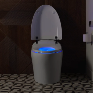 Karing 2.0 One-piece Elongated Smart Toilet
